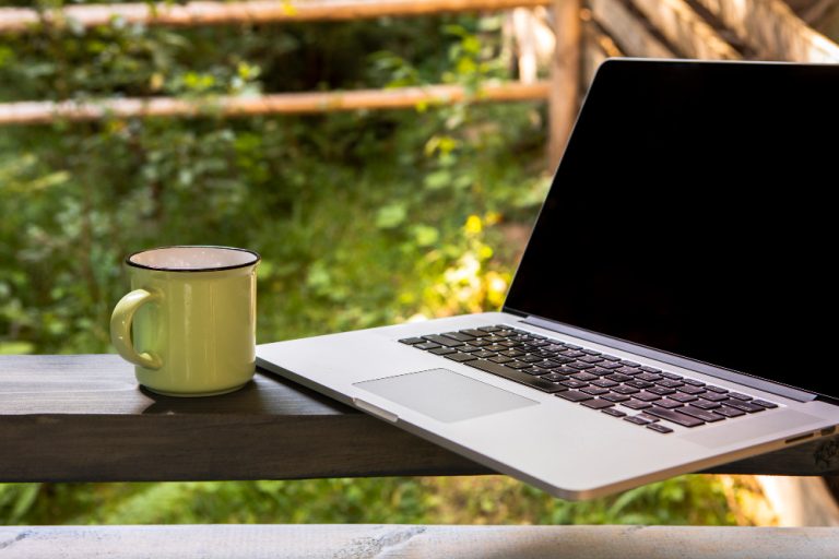 Windows and macOS – Leaders in Everyday Use